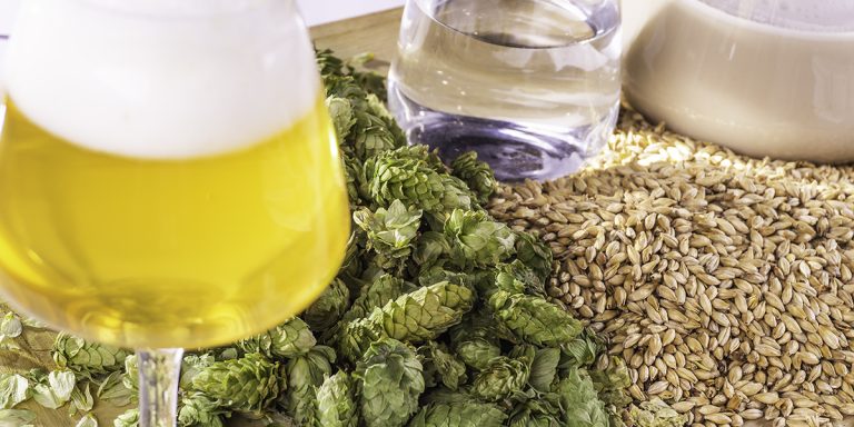 How to Brew in a Bag: A Personal Guide to Easy All-Grain Brewing