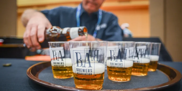 Dry Hopping Bud Light: Guide to Experimenting with Light Beer