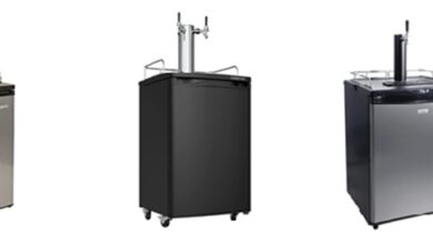 Best Kegerators