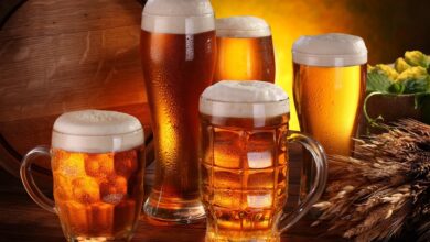 Best Beginner Beer Brewing Kits